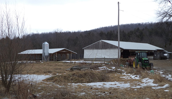 Making the Transition BarnsatSimpsonfarm